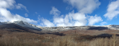 Прикрепленное изображение: Group 2-IMG_1661_IMG_1667-7 images+.png